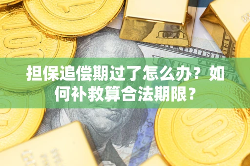 济南担保追偿期过了怎么办？如何补救算合法期限？