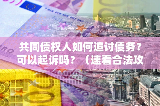 济南共同债权人如何追讨债务？可以起诉吗？（速看合法攻略）