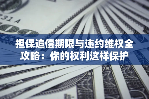 济南担保追偿期限与违约维权全攻略：你的权利这样保护